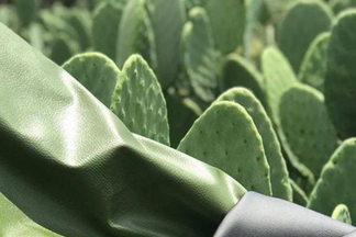 Is Cactus Leather Real ?